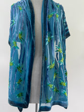 Load image into Gallery viewer, Dragonflies Turquoise Velvet Scarf/Shawl