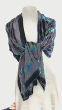 Load and play video in Gallery viewer, Dragonflies Pattern Black Velvet Scarf/Shawl