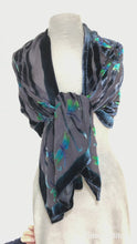 Load and play video in Gallery viewer, Dragonflies Pattern Black Velvet Scarf/Shawl
